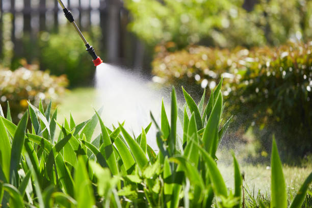 24/7 Emergency Wasp Removal experts in Crystal Lawns, IL