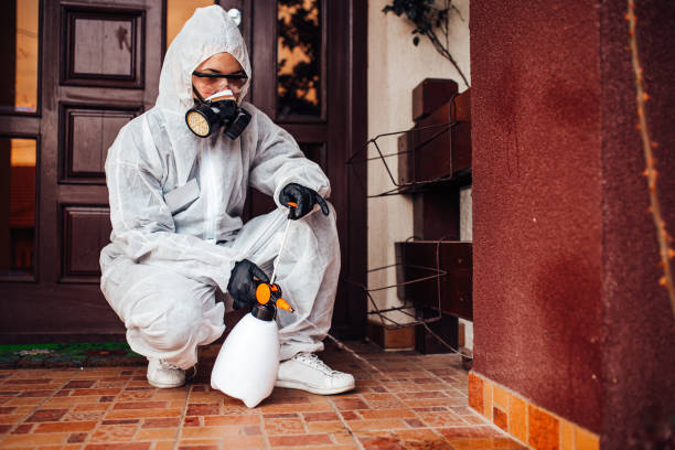Reliable Wasp Removal contractor in Crystal Lawns, IL by Show Me Pest Control