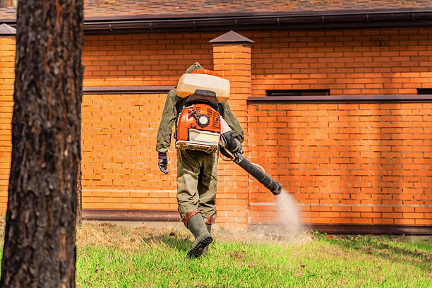 Top rated local Wasp Removal specialists in Crystal Lawns, IL